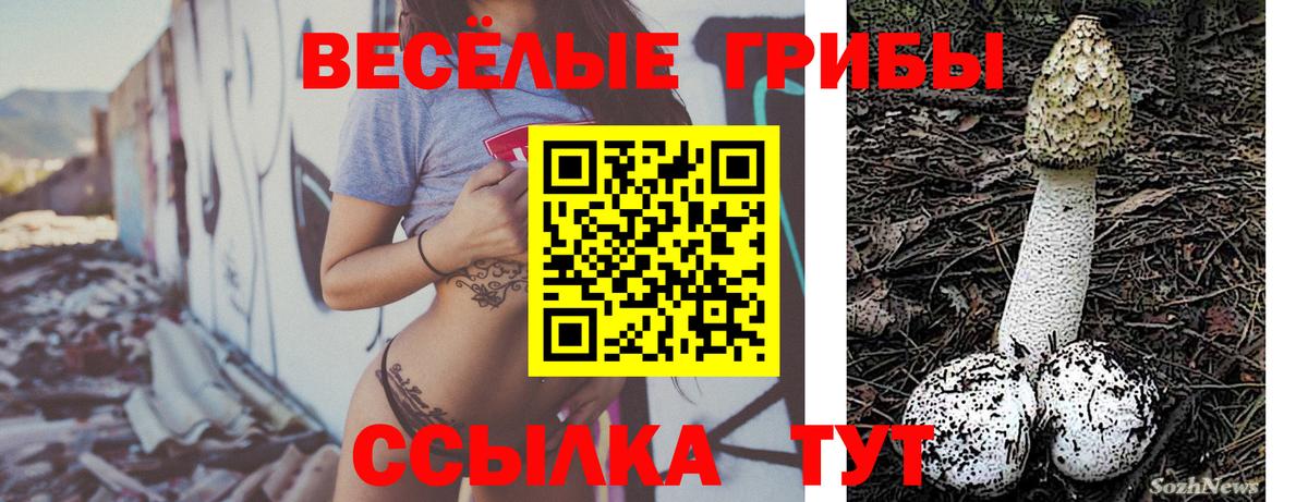 Псилоцибиновые грибы MAGIC MUSHROOMS Усть-Илимск