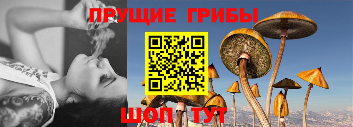 Галлюциногенные грибы мицелий  Вход с VPN  Усть-Илимск 